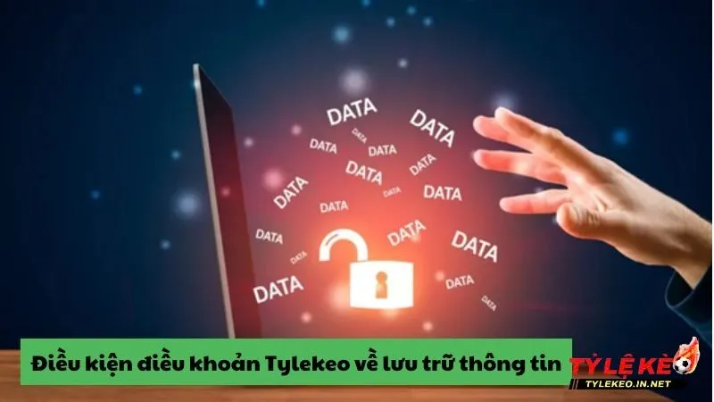 Thông tin được lưu trữ tại Tylekeo phục vụ mục đích khác nhau