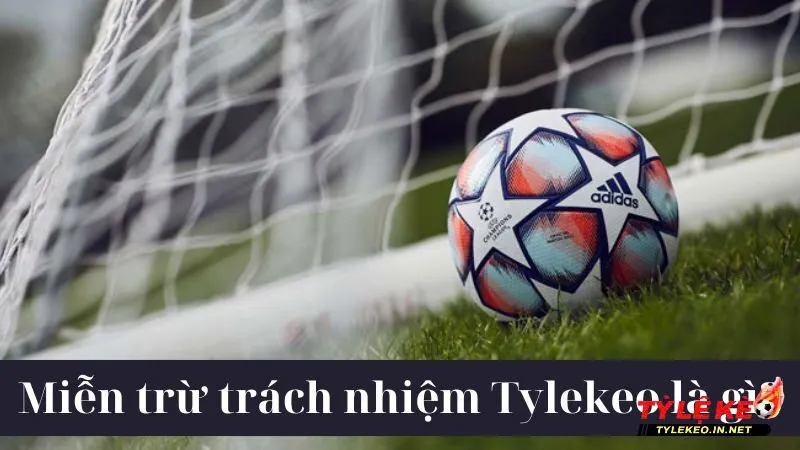 Chính sách miễn trách nhiệm giúp Tylekeo nêu rõ trách nhiệm với người dùng