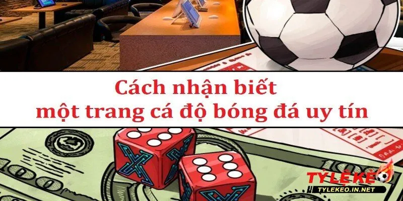 Cách để người chơi nhận biết trang cá độ bóng đá uy tín